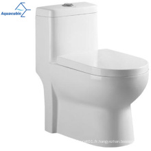 Aquacubic Sanitary Ware Double Flush Ceramic Washdown One Piece Toilet